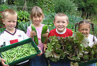 Green Cup Challenge for Schools